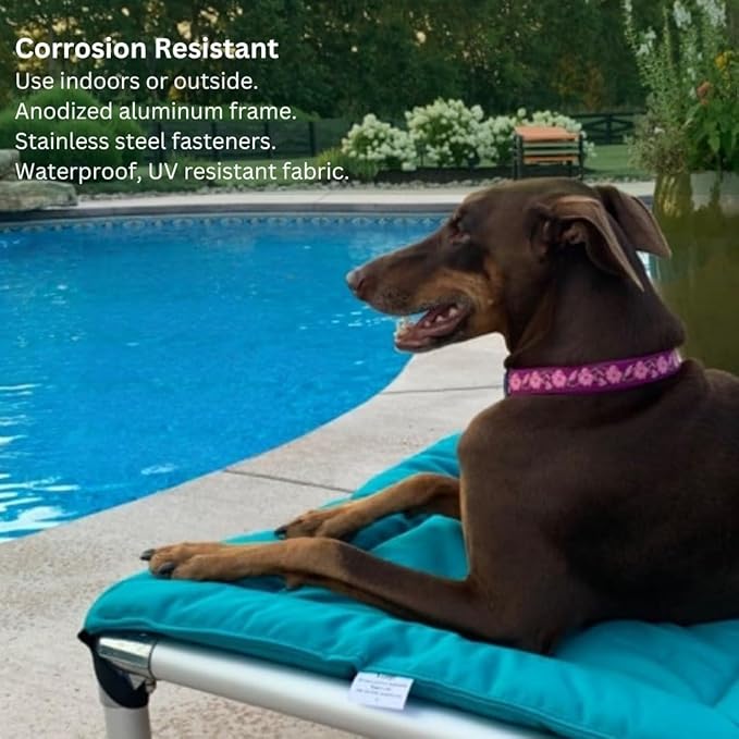 Kuranda Chewproof Elevated Pet Bed - Silver Aluminum - 35" x 23" - Sunsure Textilene - Birch