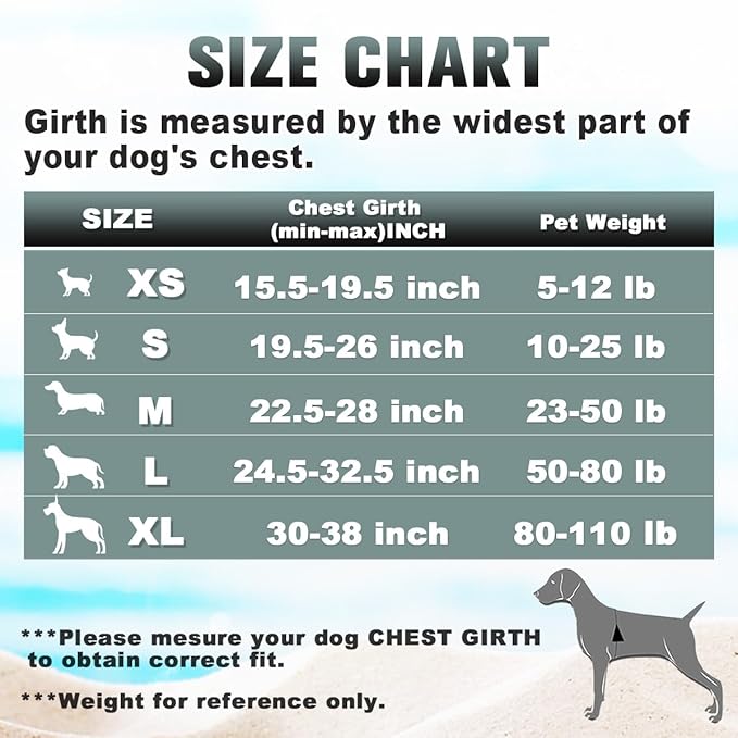 BARKBAY No Pull Dog Harness Large Step in Reflective Dog Harness with Front Clip and Easy Control Handle for Walking Training Running with ID tag Pocke(Blue/Black,M