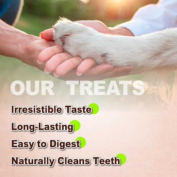 A Freschi srl Turkey Tendons for Dogs, USA-Sourced, Healthy Dog Treats, Rawhide-Free Puppy Chews, Long Lasting, All Natural, Hypoallergenic Dog Treats for Large Breeds, 10 oz Pack Variety (L)