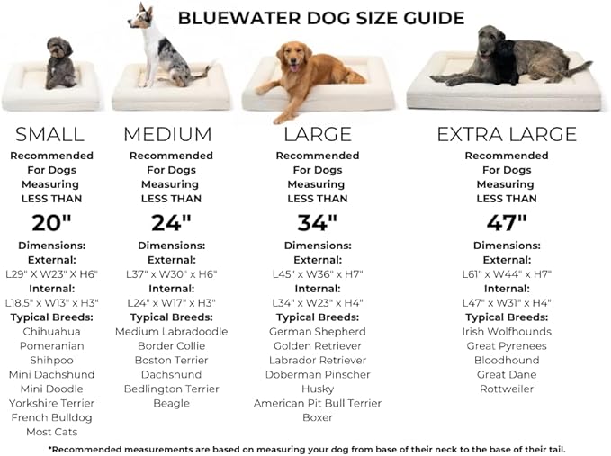 Luxury Boucle Orthopedic Memory Foam Dog Bed with Waterproof Liner and Machine Washable Cover with YKK Zippers (Medium, 37" L x 30" W x 6" Th, Sand)
