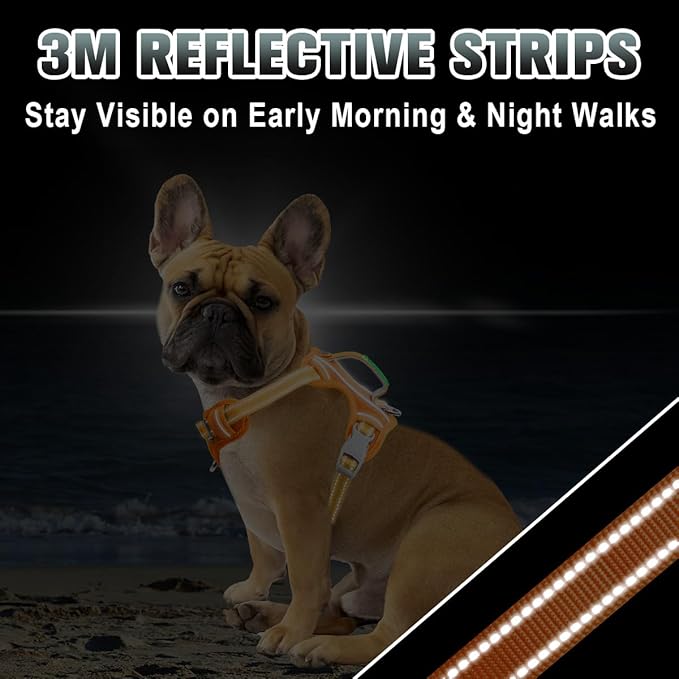 BARKBAY No Pull Dog Harness Large Reflective Dog Harness with Front Clip and Easy Control Handle for Walking Training Running with ID tag Pocket(Orange,XS)