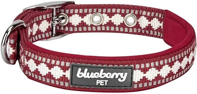 Blueberry Pet Reflective Jacquard Dog Collar with Neoprene Padding & Metal Buckle | Soft & Adjustable Safety Collar - Marsala Red, Neck 13-16.5", for Medium Breed