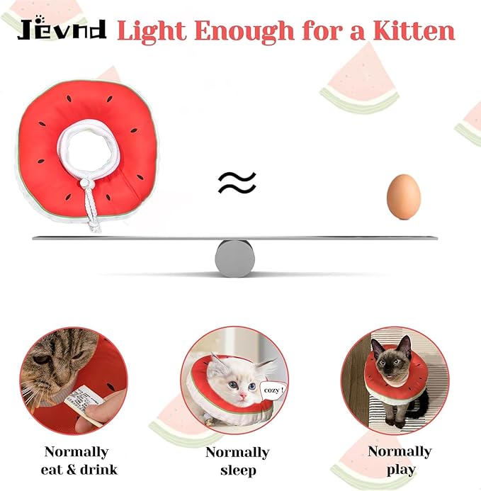Kitten Cones After Surgery 0-6 Months, Donut Extra Small Kitten Cone Collar Soft to Stop Licking Neck, Elizabethan e Collar for Recovery, xs Small Cat Cone Spray, Pet Soft Cone for Cats