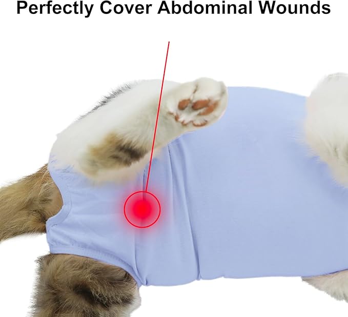 Cat Recovery Suit, Surgical Recovery Clothes for Abdominal Wound or Skin Disease, Cats Onesie After Surgery and Spay, E-Collar Alternative Pajama Suit (Blue, Large)