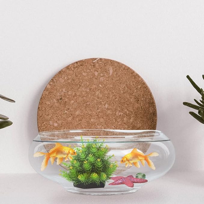 Glass Fish Bowl Clear Desktop Aquarium for Small Fish Hydroponic Plants for Home Office Decoration