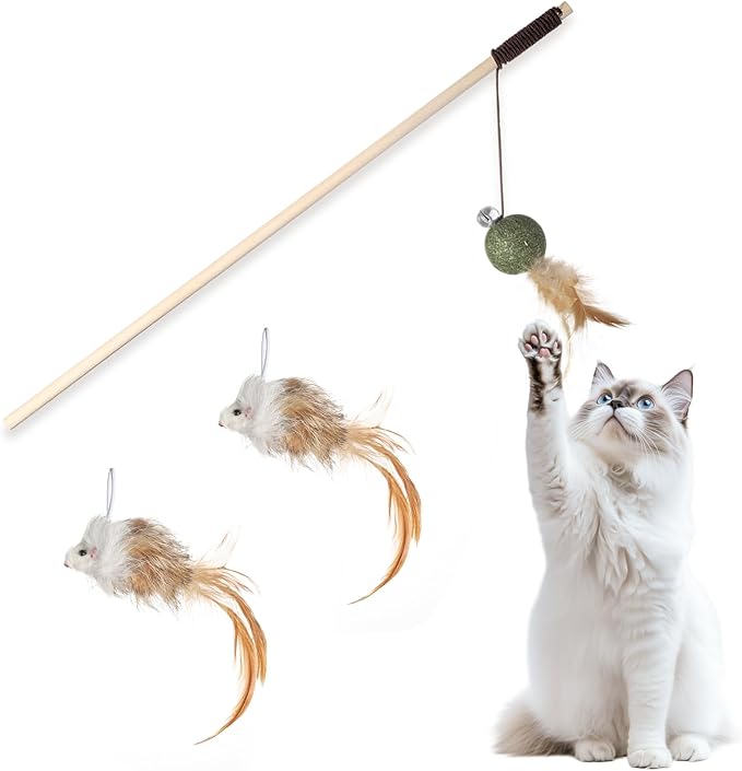 Cat Feather Toys with Catnip Ball, Feathers & Bell - 2 Replaceable Mouse Heads, Elastic Rope & Wooden Handle for Aggressive Kittens, Durable Bite-Proof Interactive Cat Teaser for Indoor Play
