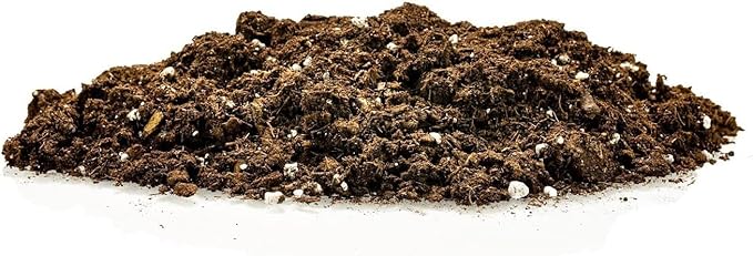 Gardenera RA Premium Snake Plant Potting Soil Mix, Green Sansevieria Trifascatia Zeylanica Plants, Plant or Re-Pot Your Snake Plant - (5 Quart Bag), (SNAKE-PLANT-5QT)