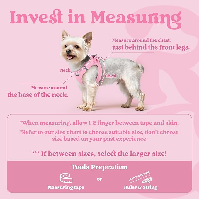 rabbitgoo Small Dog Harness, Step-in Soft Mesh Puppy Vest with Safety Buckle, Breathable Reflective Pet Harness for Small Sized Dogs, Light Pink S