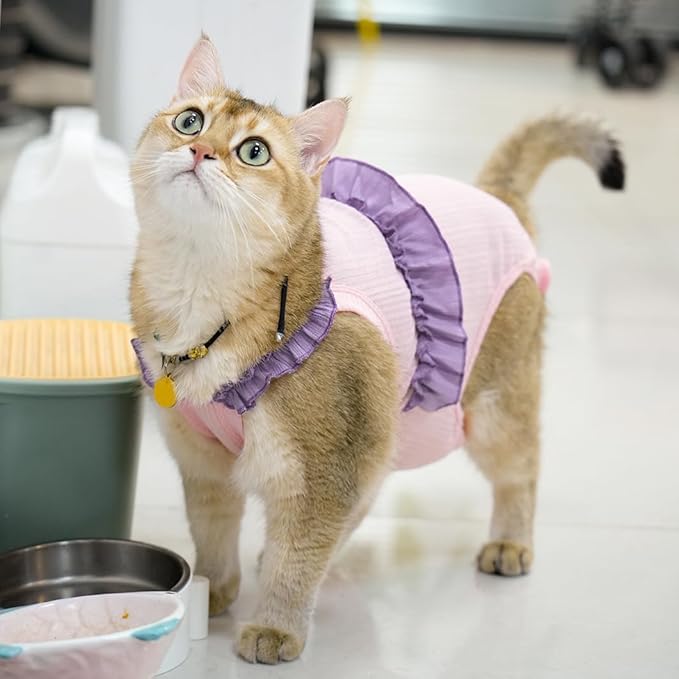 Cat Recovery Suit,Kitten Onesie After Surgery,E-Collar Alternative for Abdominal Wound and Skin Diseases,Soft Breathable Bodysuit After Spay（Pink-m）