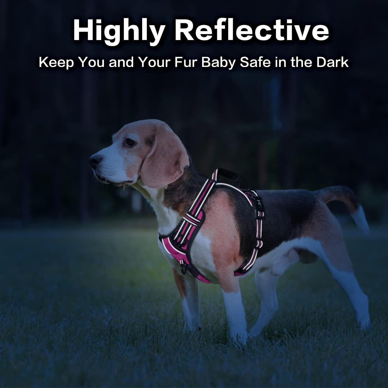PoyPet No Pull Dog Harness, No Choke Front Clip Reflective Dog Vest with Soft Padded Vertical Handle, 3 Leash Attachments for Small Medium Large Dogs (Pink,XL)