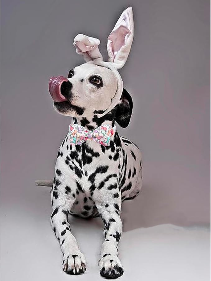 Lionheart Glory Easter Day Dog Collar with Bowtie for Small Dogs & Rabbits