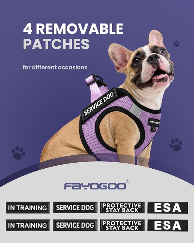 FAYOGOO Service Dog Vest for Small Breed - Lightweight Dog Harness with 6PCS Removable Patches - Puppy Harness and Leash Set for Walking,Training