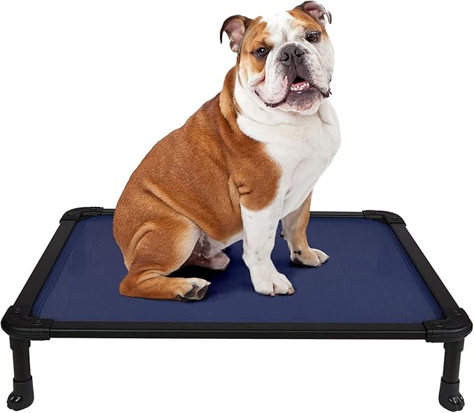 Veehoo Chew Proof Elevated Dog Bed - Cooling Raised Pet Cot - Rustless Aluminum Frame and Durable Textilene Mesh, Unique Designed No-Slip Feet for Indoor or Outdoor Use, Blue, Medium, CWC2002
