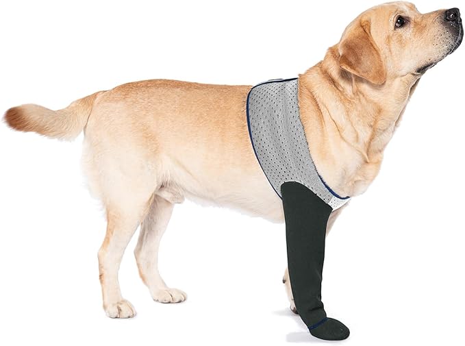 COODEO Dog Socks to Prevent Licking Paws, Healing Boots & Paw Protectors with Non-Slip Bottoms for Wound Protection, Waterproof Sleeve Shoes for Licking（Grey，2XL_Right