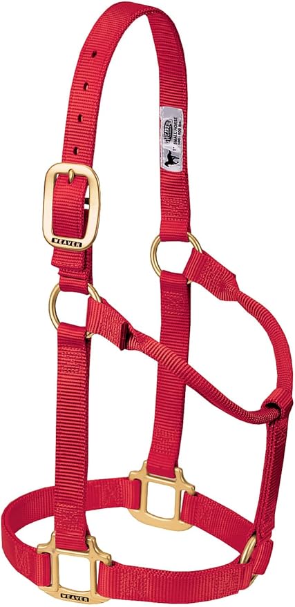 Weaver Equine Nylon Horse Halter, Triple-Ply Cheek Design, Original Non Adjustable Halters for Horses, Equine Tack,Average Size, Black
