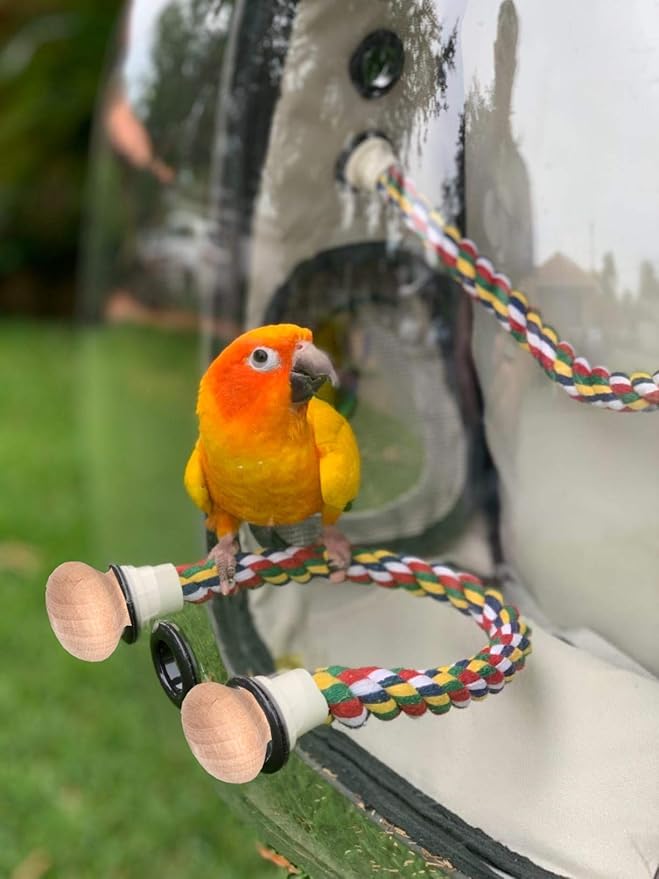 Bird Traval Carrier Cage, Clear Space Capsule Astronaut Backpack to Carry Parakeet Cockatiel Parrot with Metal Tray Wood Perch, Vet Transport School Bag