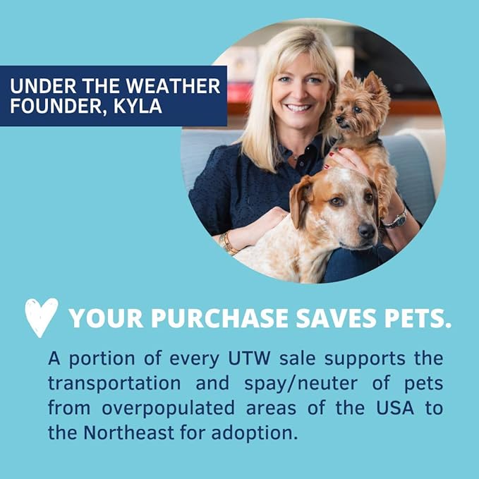 Under the Weather Pet | Ready Cal for Puppies 80cc | High Calorie Puppy Nutritional Supplement | Puppy Weight Gainer and High Calorie Booster | 10 Vitamins, 7 Minerals & Omega Fatty Acids