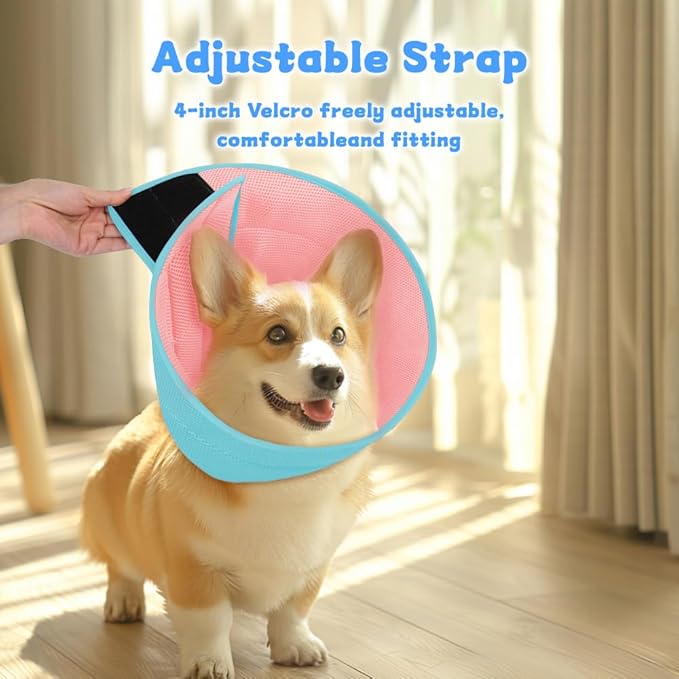 Inspack Soft Dog Cone Collar Alternative, E Cones for Medium Small Dogs/Cat to Stop Licking After Surgery, Neuter Recovery Ecollars of Shame Alternatives, Comfortable Paws Comfy Elizabethan Collars