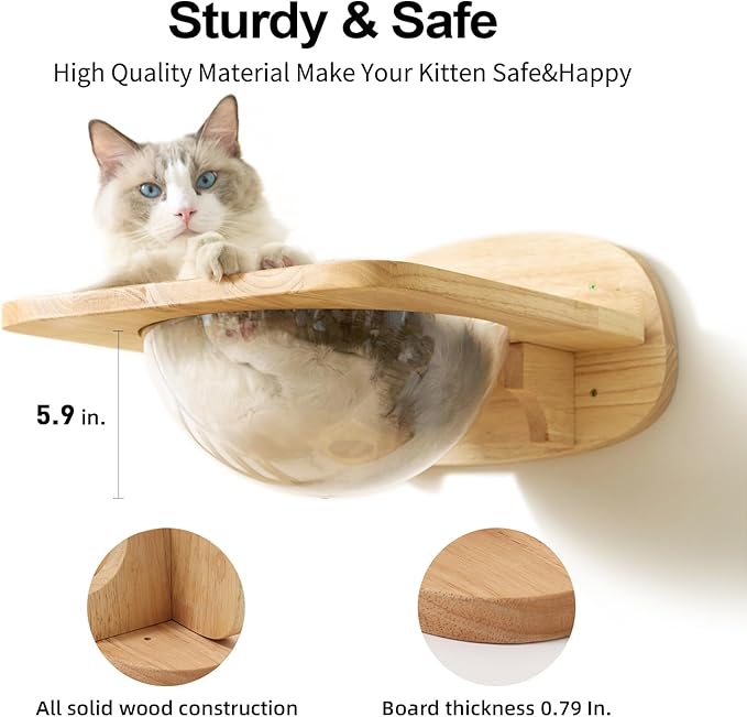 FUKUMARU Cat Wall Furniture Set, Transparent Capsule Kitten Walls Shelves with 2 PCS Pedals - Premium Kitty Bed for Sleeping, Playing, Climbing, and Lounging - Easily Holds Up to 35 Lbs