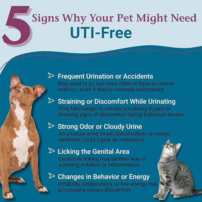 PetAlive Cat and Dog UTI Treatment - Homeopathic Remedy for Dog and Cat UTI Treatment - Supports Bladder Comfort, Reduces Dribbling, Incontinence, Eases Frequent Urination - 1 oz Granules
