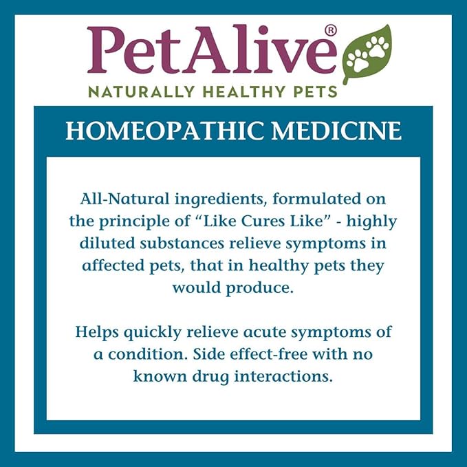 PetAlive ComfyPet Pain Relief for Dogs & Cats – Natural Homeopathic Supplement for Pet Joint & Mobility Support – 2 fl oz Drops – Made in USA