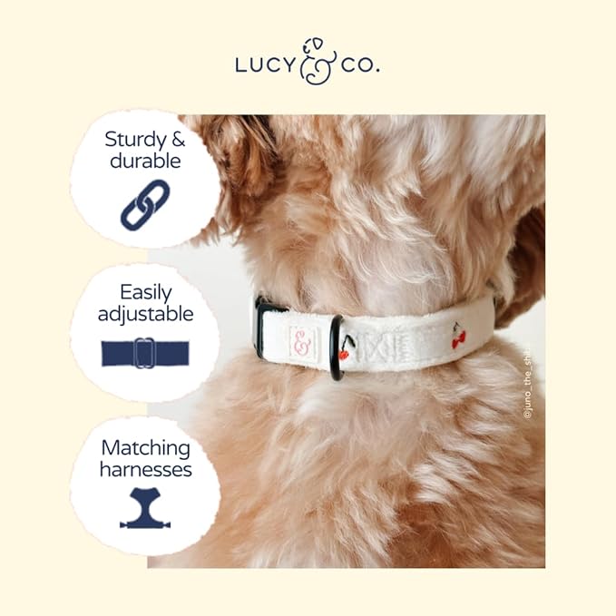 Lucy & Co. Sipping Slowly Dog Collar, Adjustable Durable Dog Collar with Cute Print, Large