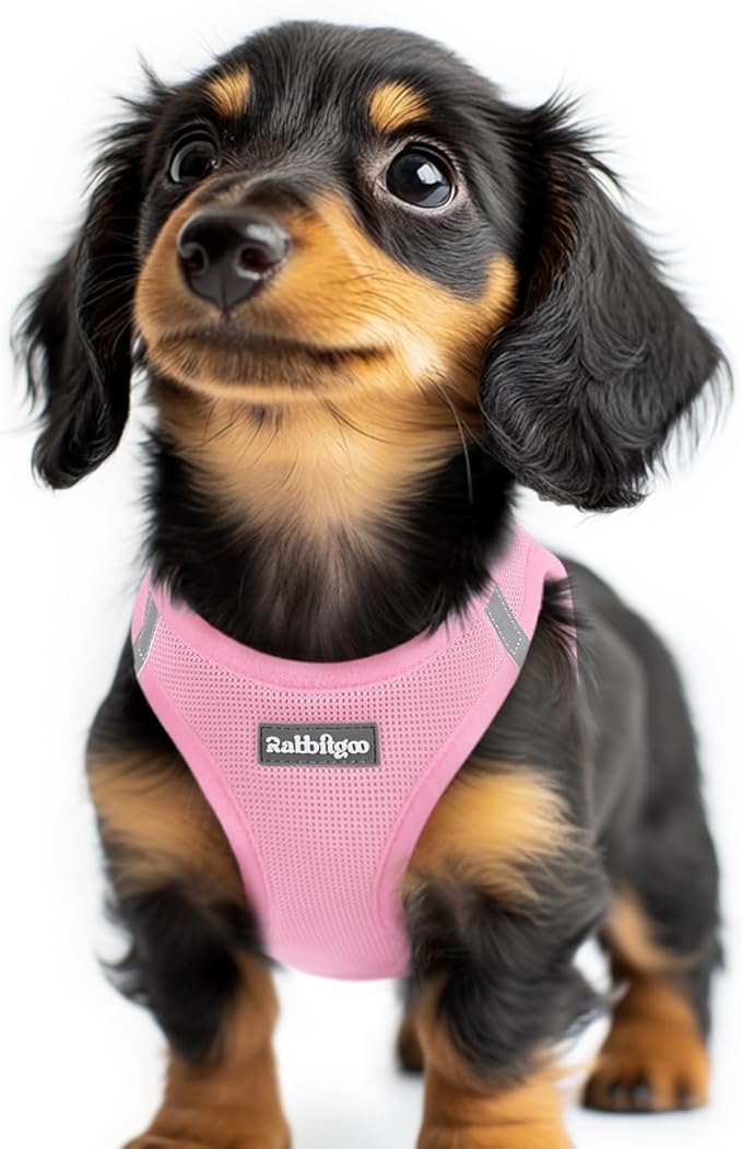 rabbitgoo Small Dog Harness, Step-in Soft Mesh Puppy Vest with Safety Buckle, Breathable Reflective Pet Harness for Extra Small Dogs, Light Pink XXS