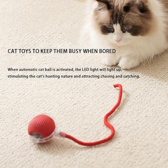 Interactive Cat Toy Ball for Indoor Cats - 3-Speed Smart Rolling Ball with Flashing Lights, USB Rechargeable Automatic Motion Kitten Toys for Bored Adult Cats & Playful Kittens