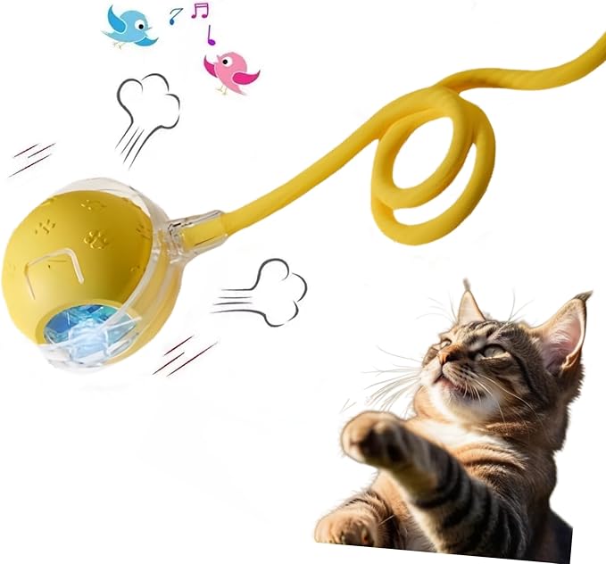Interactive Cat Toy Ball – Automatic Electric Rolling Ball with Chirping Bird Sounds, Motion-Activated Indoor Toy for Kittens and Cats, Fun Exercise Play (Yellow)