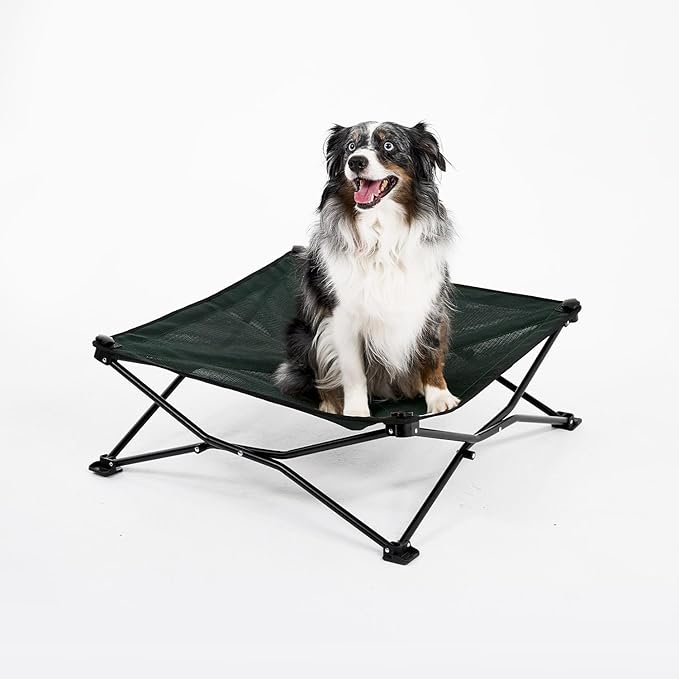 Coolaroo On-The-Go Elevated Dog Bed - Foldable Pop-Up Travel Dog Bed with Breathable, Moisture-Resistant Fabric, Carry Bag Included, Lightweight & Portable, Brunswick Green, Medium