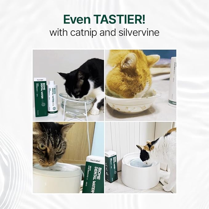 PetO'Dent Dental Water Additive for Cats, Irresistible & Gentle Formula, Hydration, Oral Health, Instant Fresh Breath, Tartar Control, Healthy Gums, 8.45 fl oz/250ml