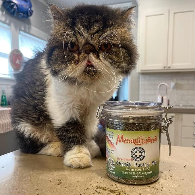 Meowijuana Catnibas Catnip Pawty Mix with Lemongrass Jar | Value Bulk Jar | Premium High Potency Catnip | Premium Hand Harvested North American Catnip | 60g