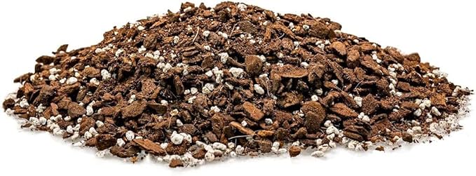 GARDENERA Moisture-Retaining Monstera Obliqua Potting Mix - Healthy Root Growth by Gardenera - 5 Quart