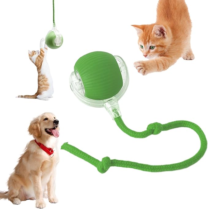 Chewie Viral Rolling Ball, Interactive Cat Toys Ball for Indoor, Cats Interactive Self Rolling Ball Dog Ball Automatic Cat Toy 360° Smart Automatic Rolling Pet Ball (Green)