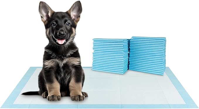 BV XXL Puppy Pads 20 Count 30" x 36" - Leak-Proof Pee Pads for Dogs with 6-Layer Design, Rapid Dry Sheet & Attractant - Dog Pad Extra Large with Odor Control - Perfect for Big Dogs & Indoor Use