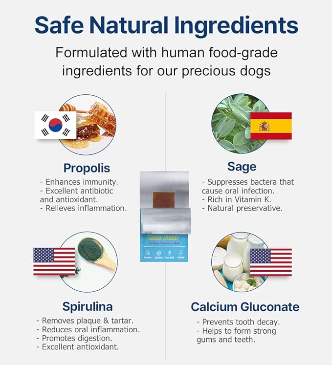 Breath Freshener Strip for Clean Teeth, Fresh Breath, & Healthy Mouth: Dog Water Additive for Dental Care - Pet Bad Breath Remedy - Cat Dental Mint Treats (10 Strips)