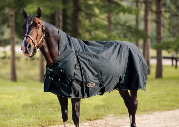 Country Pride Paladin 1200D High Neck Heavyweight Turnout Blanket (70)