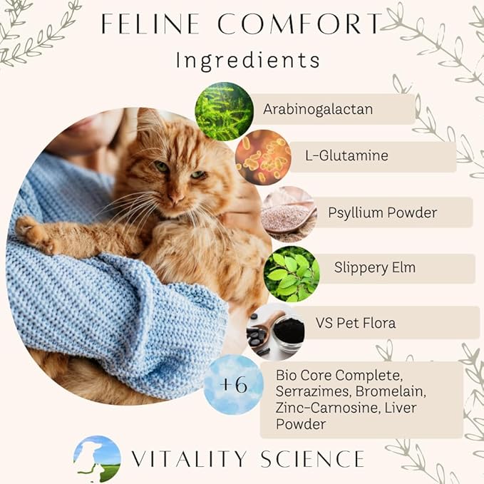 Feline Comfort for Cats | Maintains a Healthy Intestinal Tract and Proper Gut Flora | Restores Gastric Stability | for Vomiting and Diarrhea | 100% Additive Free (Seafood, 220g)