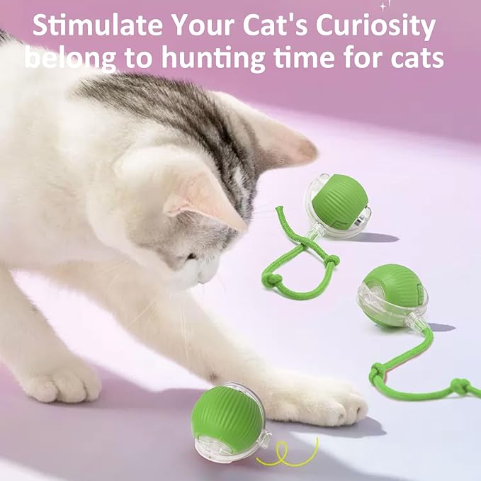 Chewie Viral Rolling Ball, Interactive Cat Toys Ball for Indoor, Cats Interactive Self Rolling Ball Dog Ball Automatic Cat Toy 360° Smart Automatic Rolling Pet Ball (Green)
