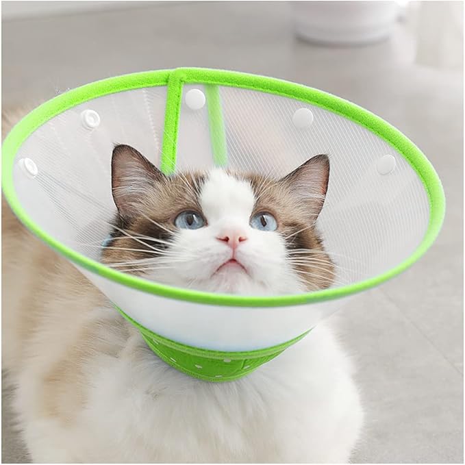 Pet Cone Recovery Dog Cone Adjustable Dog Collar Clear Padded Collar with Breathable Soft Edge, Plastic Puppy Cone Protect The Neck Surgery Recovery, Designed for Cats and Puppies (Small, Green)