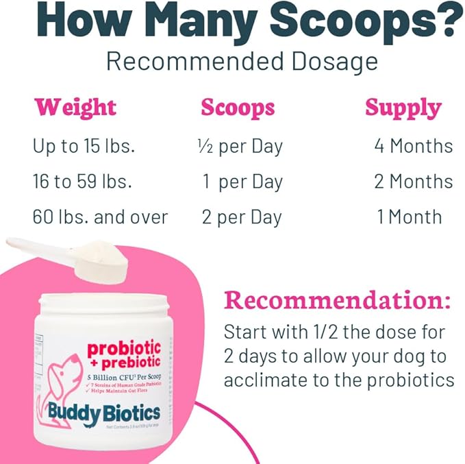 Buddy Biotics Probiotic + Prebiotic for Dogs- Gut Flora Health, Digestive and Immune Health, Diarrhea and Bowel Support – 5 Billion CFU per Scoop