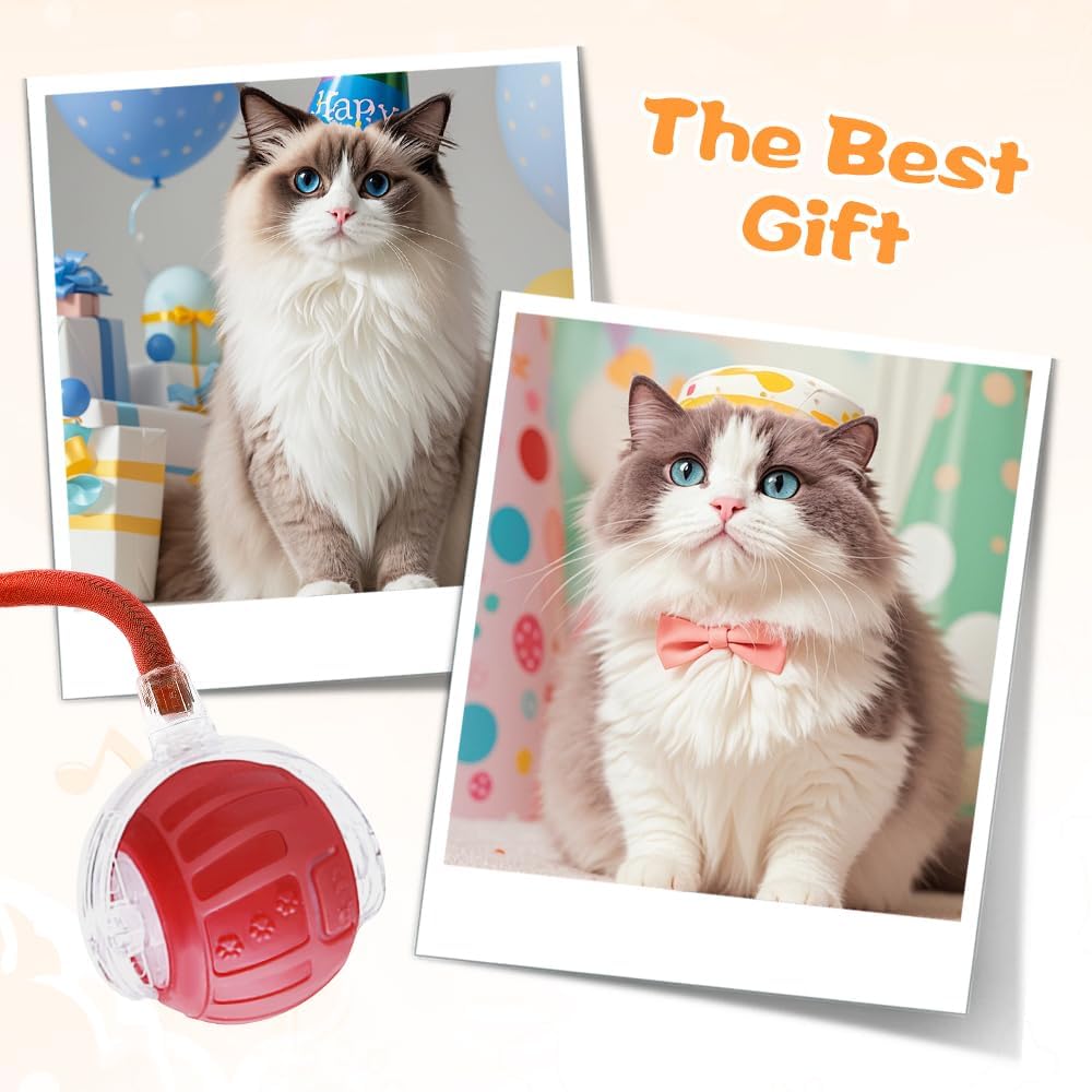 2026 New Interactive Pet Toy Ball, Smart Interactive Toy Ball for Cats & Dogs, Electric Rolling Pet Toy Ball, Rechargeable Interactive Cat Toys for Bored Indoor Cats Kittens to Keep Busy (Red)