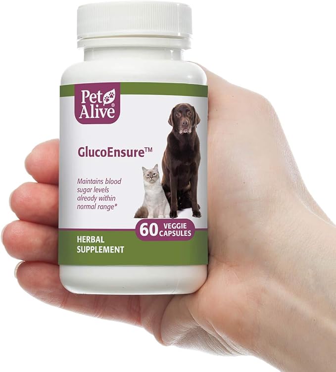 PetAlive GlucoEnsure 2 Pack