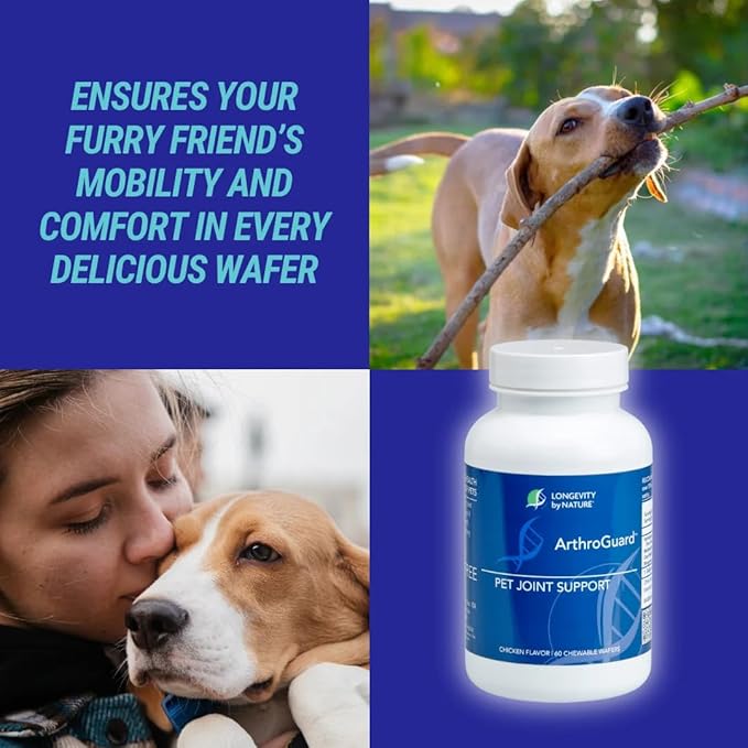 Animal Joint Health-for Pets & Horses-Collagen Type II Plus H.a