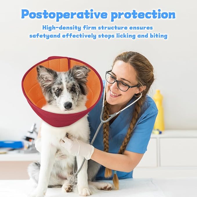Inspack Soft Dog Cone Collar Alternative, E Cones for Medium Small Dogs/Cat to Stop Licking After Surgery, Neuter Recovery Ecollars of Shame Alternatives, Comfortable Paws Comfy Elizabethan Collars