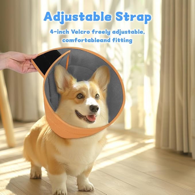Inspack Soft Dog Cone Collar Alternative, E Cones for Small Dogs/Cat/Puppy to Stop Licking after Surgery, Comfortable All Paws Comfy Elizabethan Collars, Neuter Recovery Ecollars of Shame Alternatives