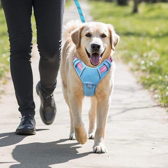 BARKBAY No Pull Dog Harness Large Reflective Dog Harness with Front Clip and Easy Control Handle for Walking Training Running with ID tag Pocket(Baby Blue & Baby Pink,M)