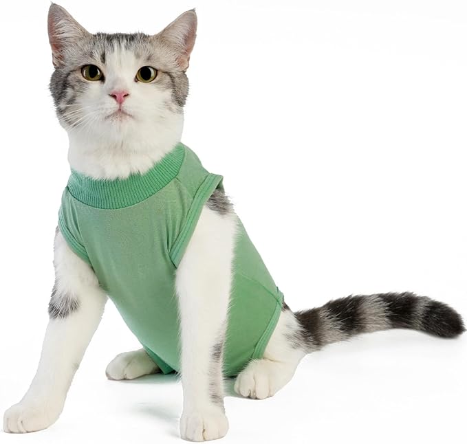 Cat Surgery Recovery Suit Professional for Surgical Abdominal Wound Or Skin Diseases E-Collar Alternative for Cats After Surgery Wear Pajama Suit (Green, Small)
