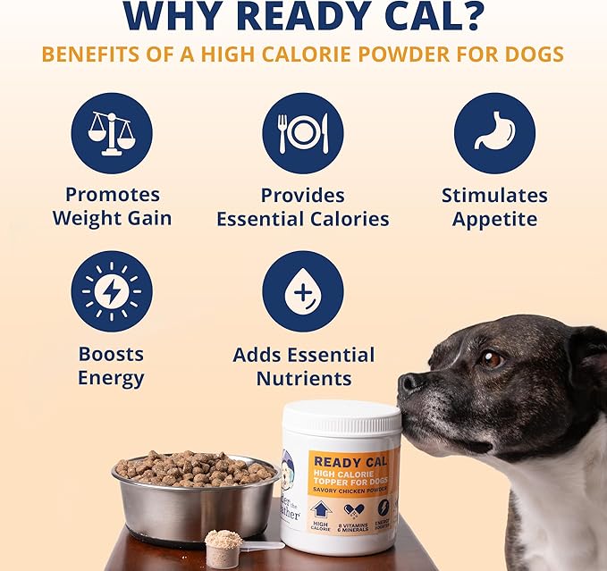 Under the Weather Ready Cal Powder for Dogs, High-Calorie Weight Gainer & Appetite Stimulant, Dog Energy Booster Veterinarian-Approved Pet Supplement with Vitamins & Minerals, Chicken Flavor |10.58 oz