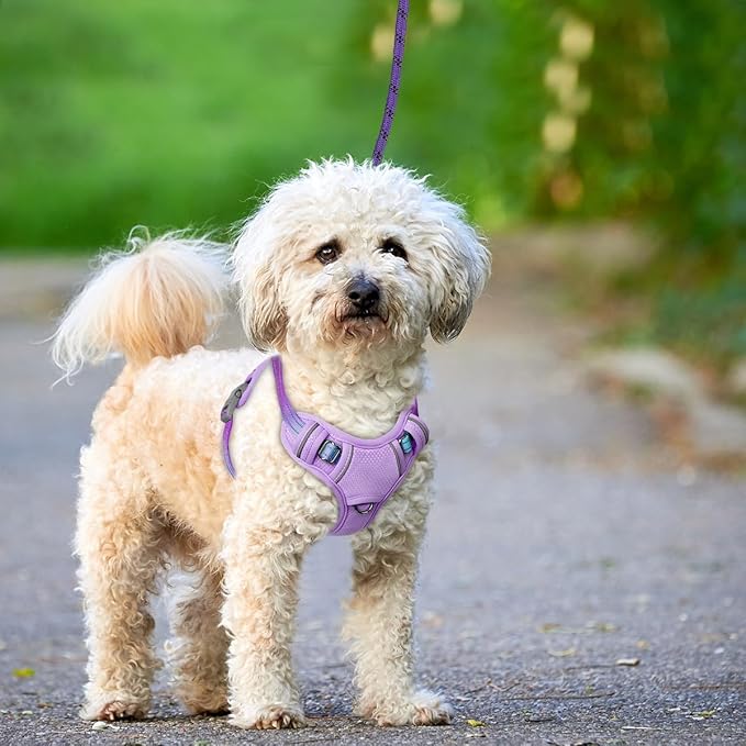 BARKBAY No Pull Dog Harness Large Reflective Dog Harness with Front Clip and Easy Control Handle for Walking Training Running with ID tag Pocket(Lavender Sky,XS)
